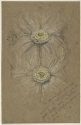 Study of Rosettes for Lady's Dress