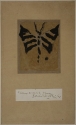 Design for a butterfly