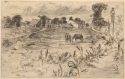 
                    Landscape with Horses, etching, The Hunterian, GLAHA 46725