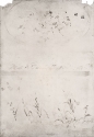 
                v.: Design for a Wall Decoration, Freer Gallery of Art
