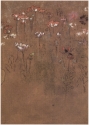 
                Studies of poppies, Private Collection
