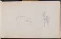 Donkeys, Sketchbook, p. 37, The Hunterian 