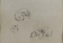r.: Three studies of a cat; v.: Man's head, by an unknown h
