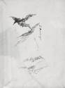 r.: Bats; v.: Bat, cupids, and ships at sea
