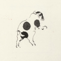 Cicie's dog, Winks