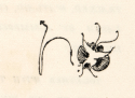  Butterfly, Eden versus Whistler: The Baronet and the Butterfly, p. iv, Glasgow University Library