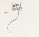 
                  Butterfly, in Eden versus Whistler: The Baronet and the Butterfly, p. xii, Glasgow University Library
