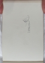 Woman, sketchbook (p. 21), The Hunterian