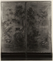 Nanpo Jyoshi, Birds and Blossoms, Autumn, verso of screen, photograph, 1980