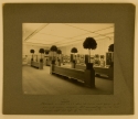Whistler Memorial Exhibition, Boston 1904, photograph, GUL Whistler PH6/8, 2491