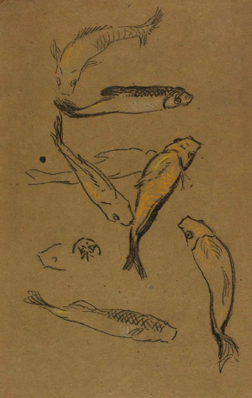 Seven studies of fish