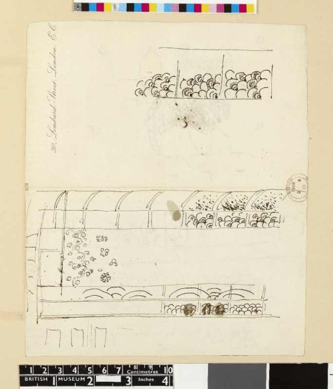Peacock designs; (a) feathers on panel; (b) plan of ceiling; (c) feathers on panels; (d) feathers on panels and ceiling coffers