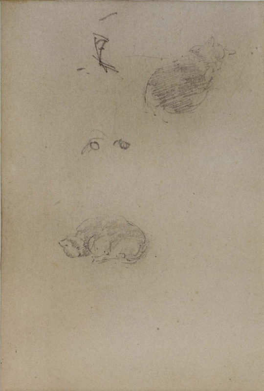 r.: Studies of a sleeping cat; v.: Indecipherable, by an unknown hand