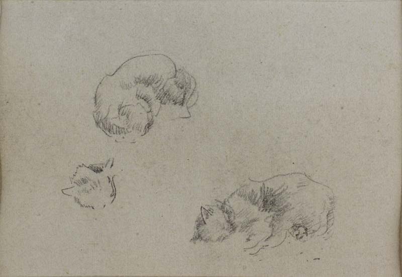 r.: Three studies of a cat; v.: Man's head, by an unknown hand