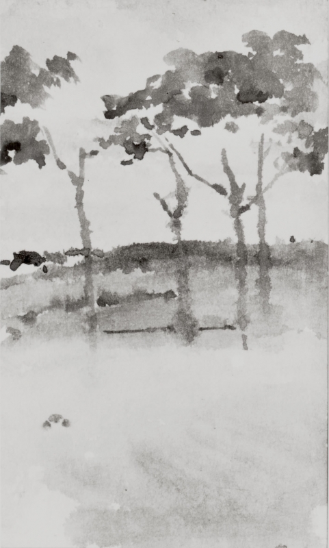 A study of trees